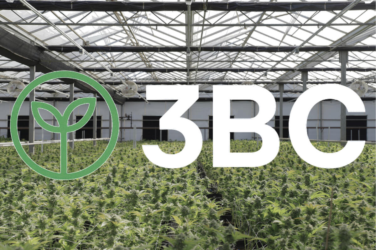 3BC Industries - Innovating the future of agricultural air management.